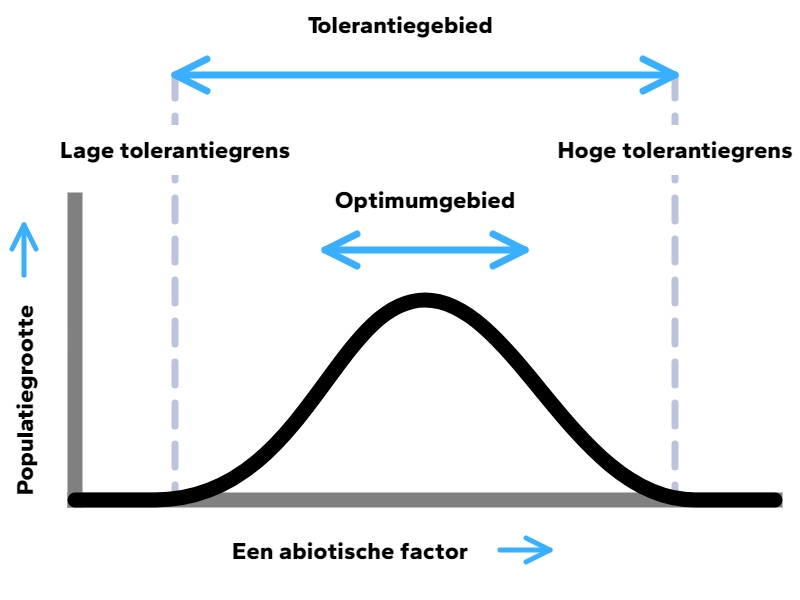 Een tolerantiecurve (img-medium)