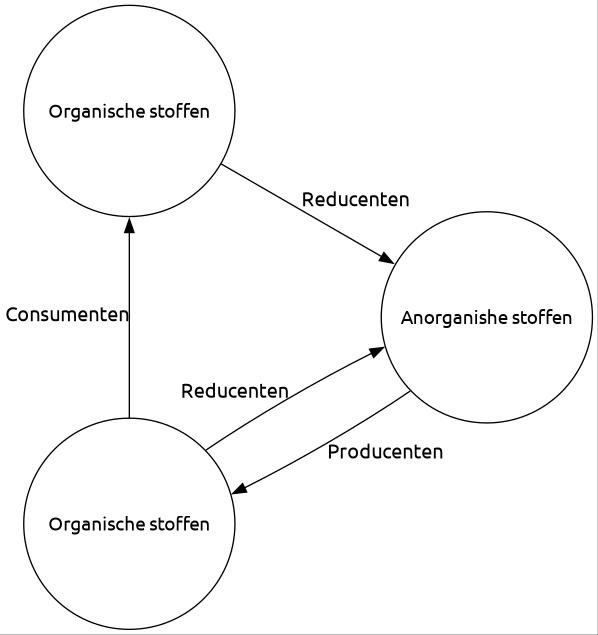 Producenten, reducenten en consumenten (img-small) (img-padding) (img-float-right)